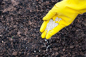 микроудобрения