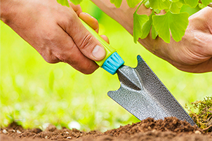 микроудобрения