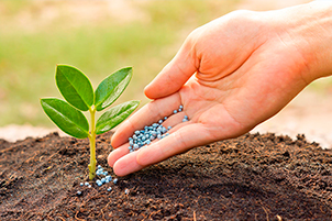 микроудобрения