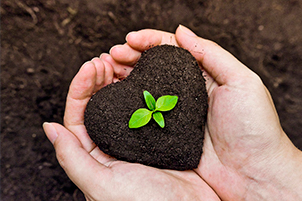 микроудобрения