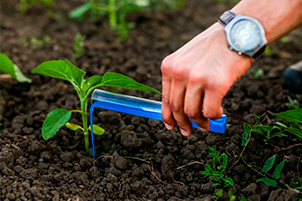 микроудобрения